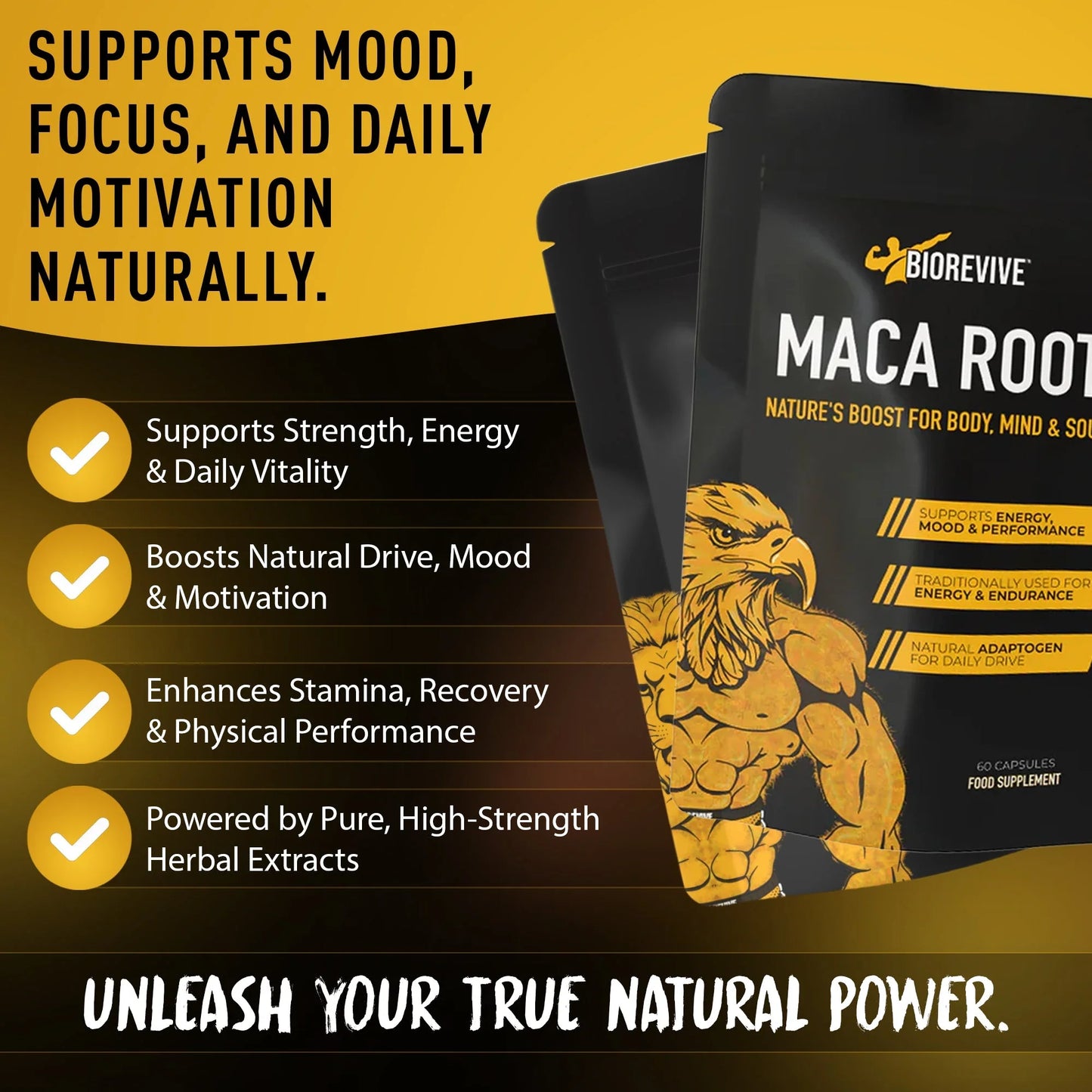 Natty Stack Bundle