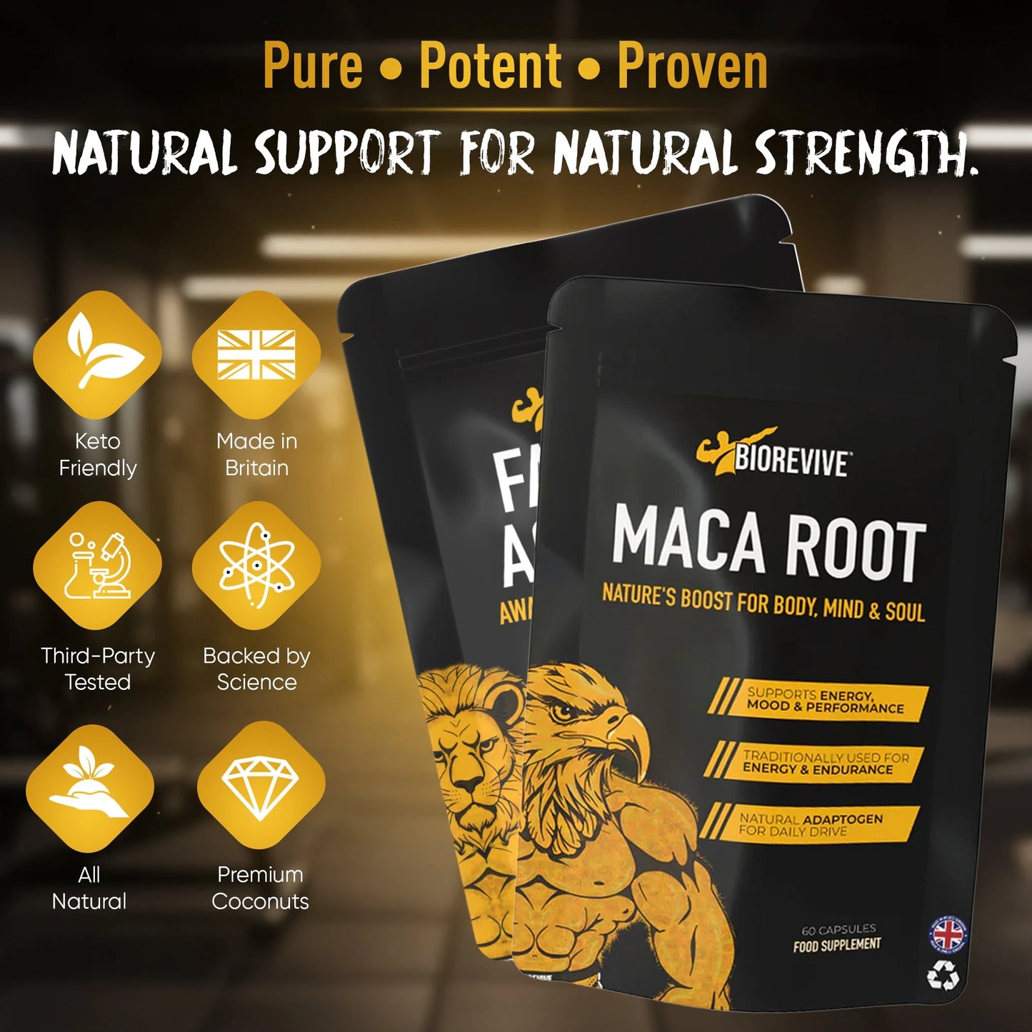 Natty Stack Bundle