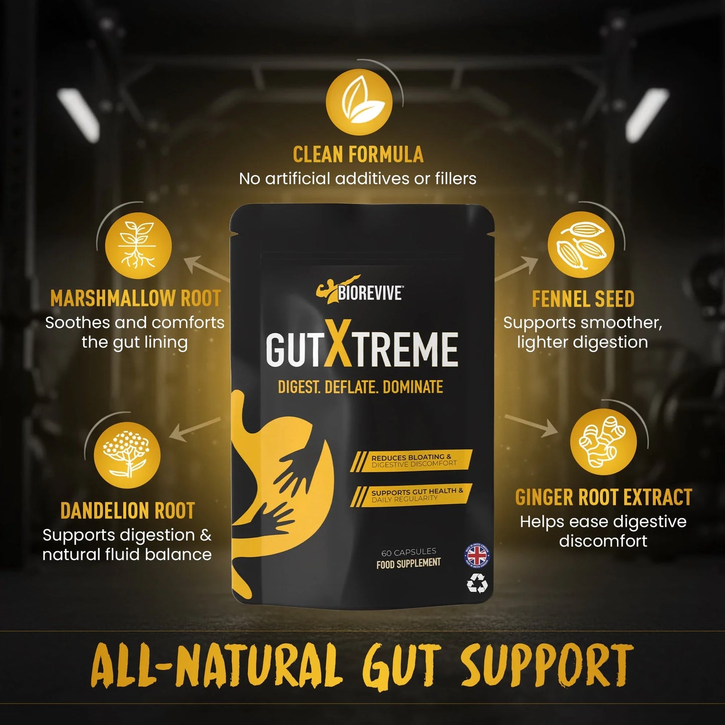 Gut Extreme