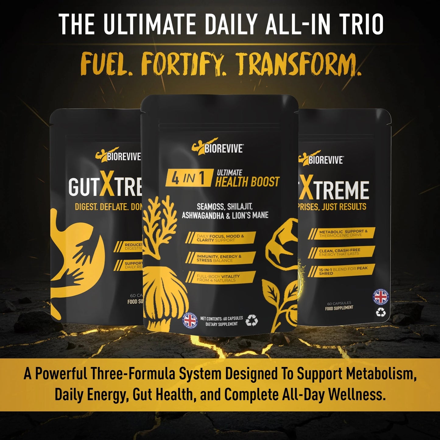 All-IN Trio Bundle