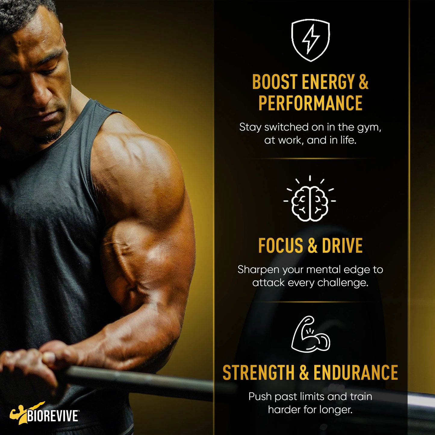 Everyday Energy Bundle