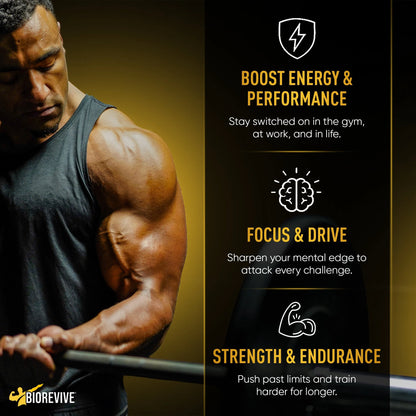 Everyday Energy Bundle