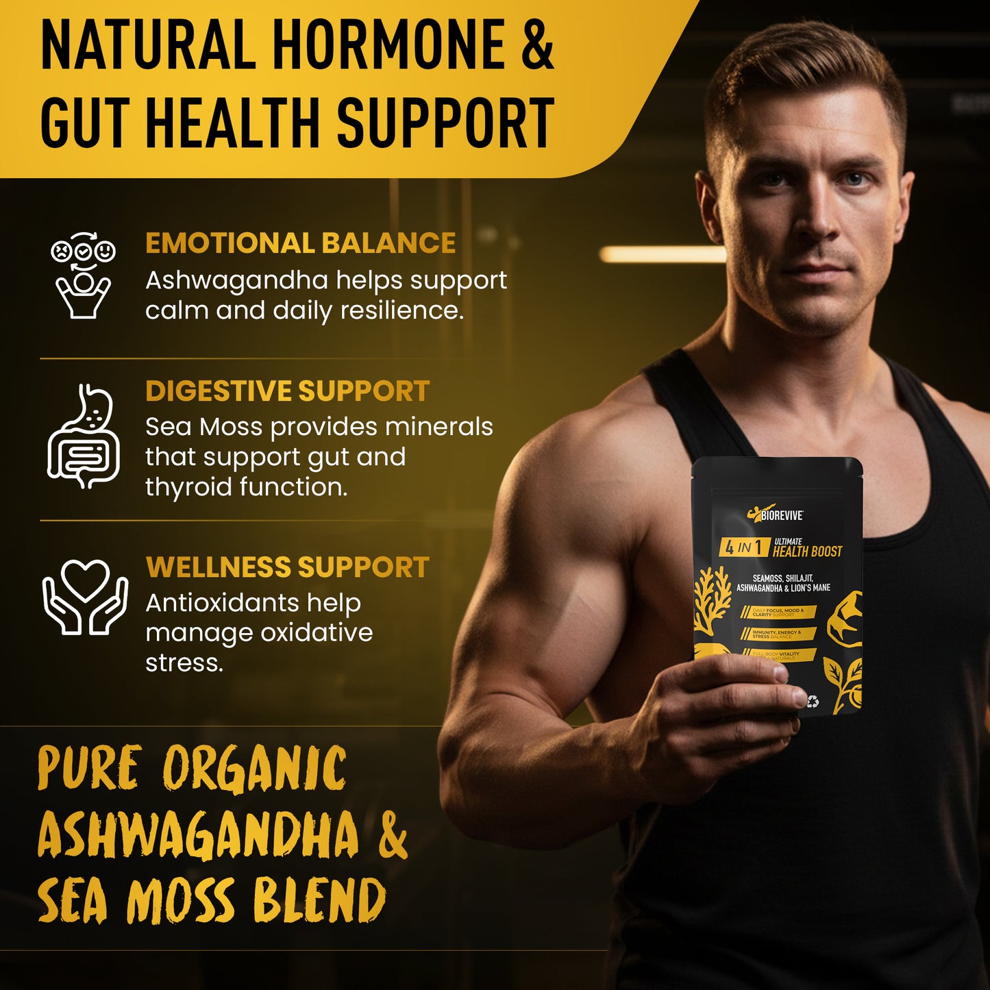 4-IN-1 - Seamoss, Shilajit, Lions Mane, Ashwagandha