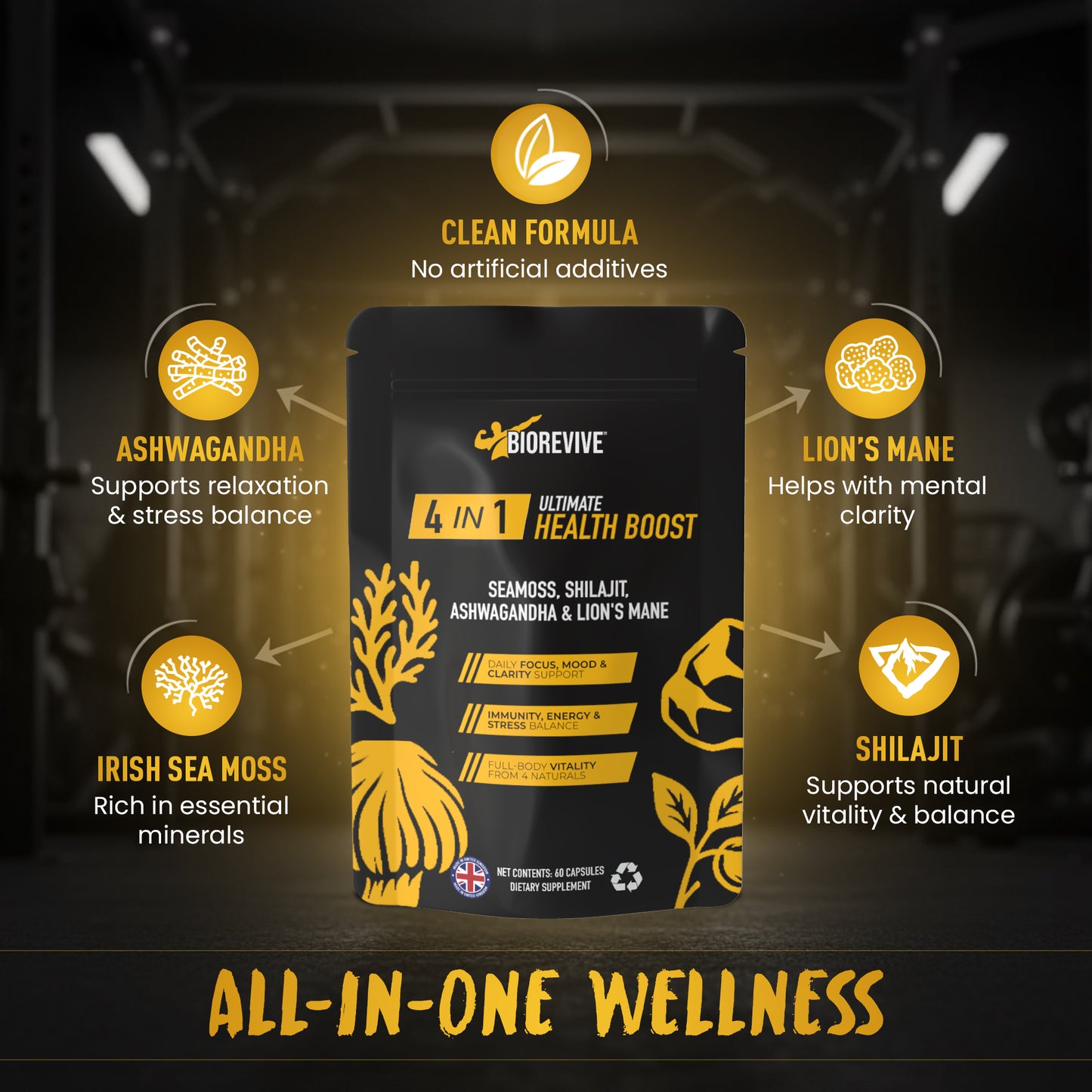 4-IN-1 - Seamoss, Shilajit, Lions Mane, Ashwagandha