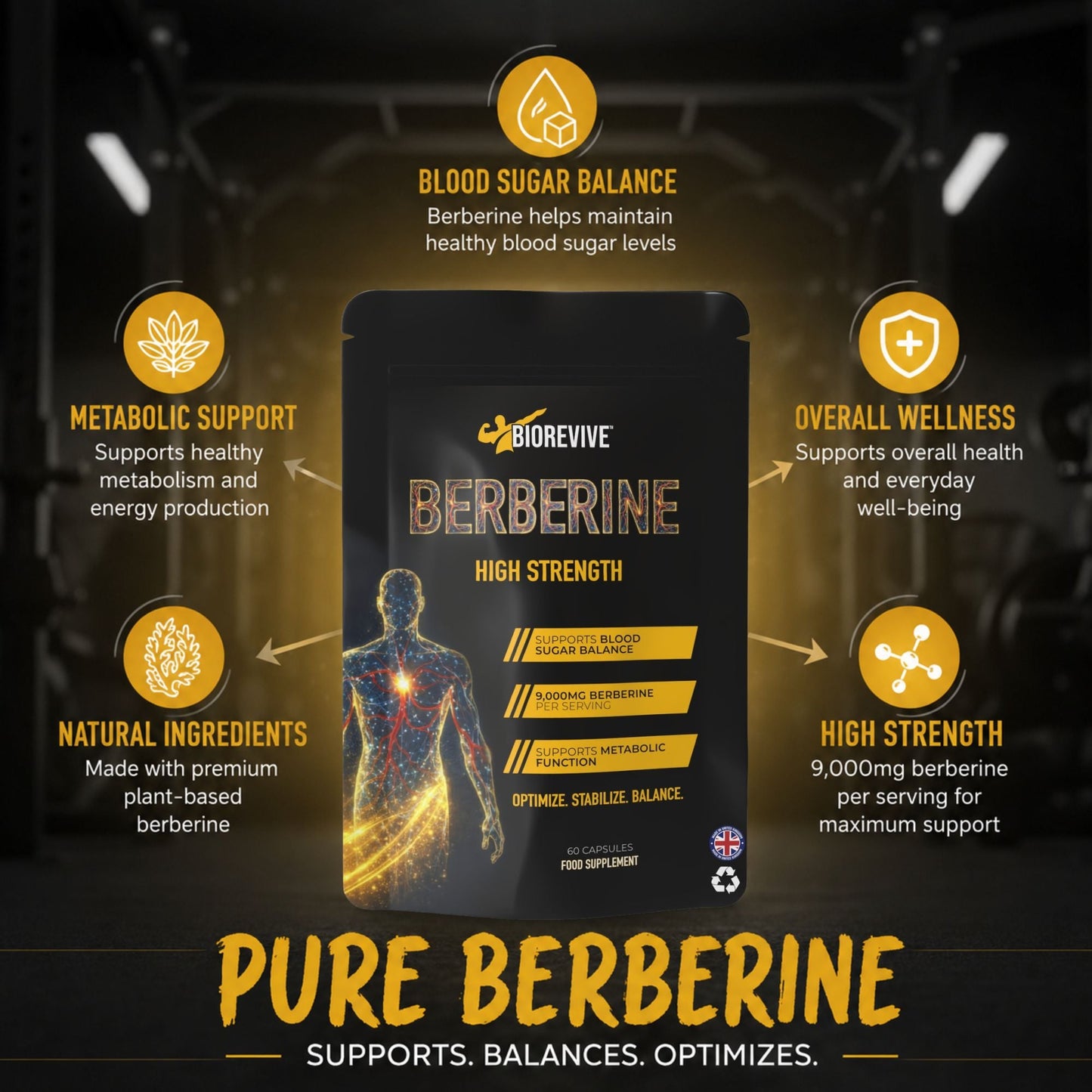 Shred Bundle