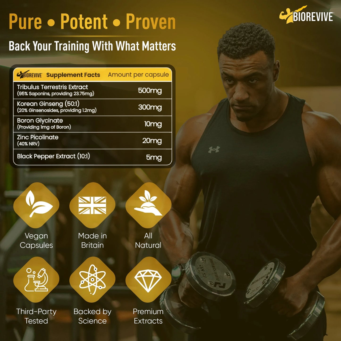 Everyday Energy Bundle