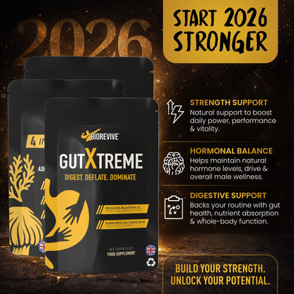 Strength Bundle