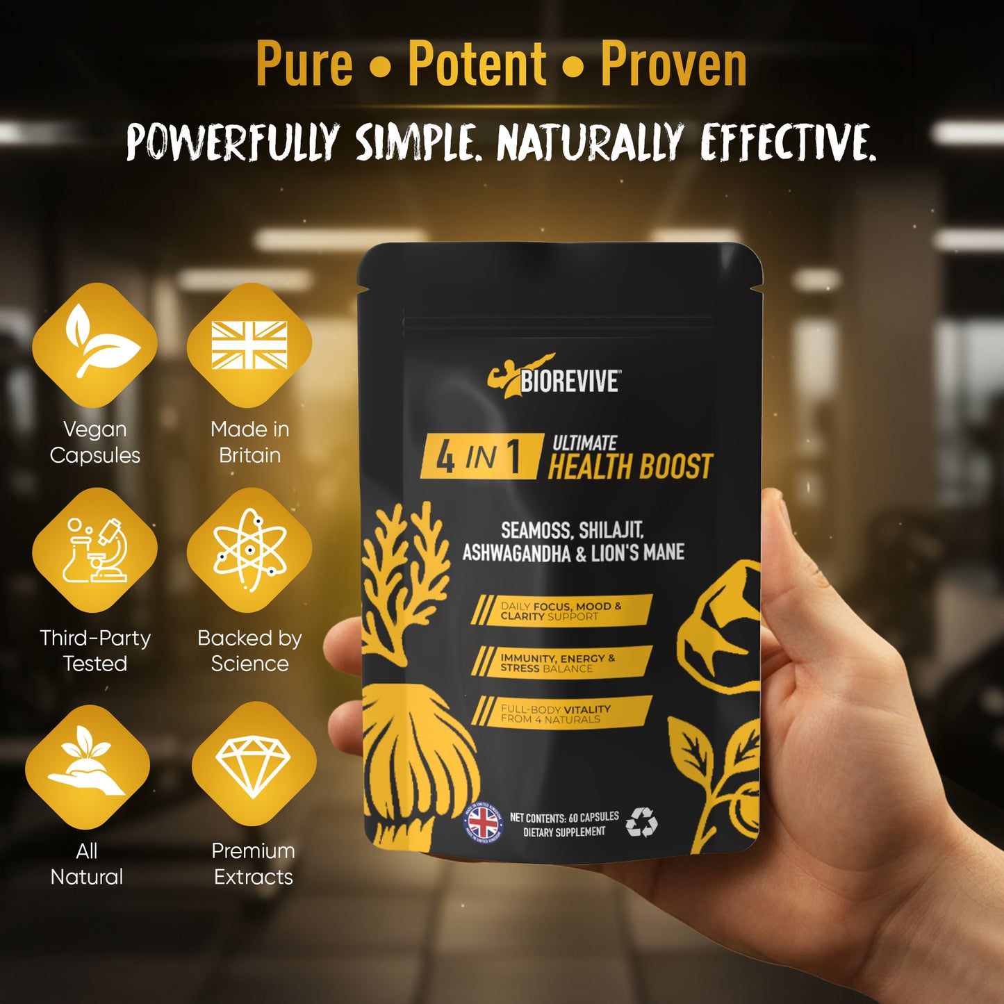 4-IN-1 - Seamoss, Shilajit, Lions Mane, Ashwagandha