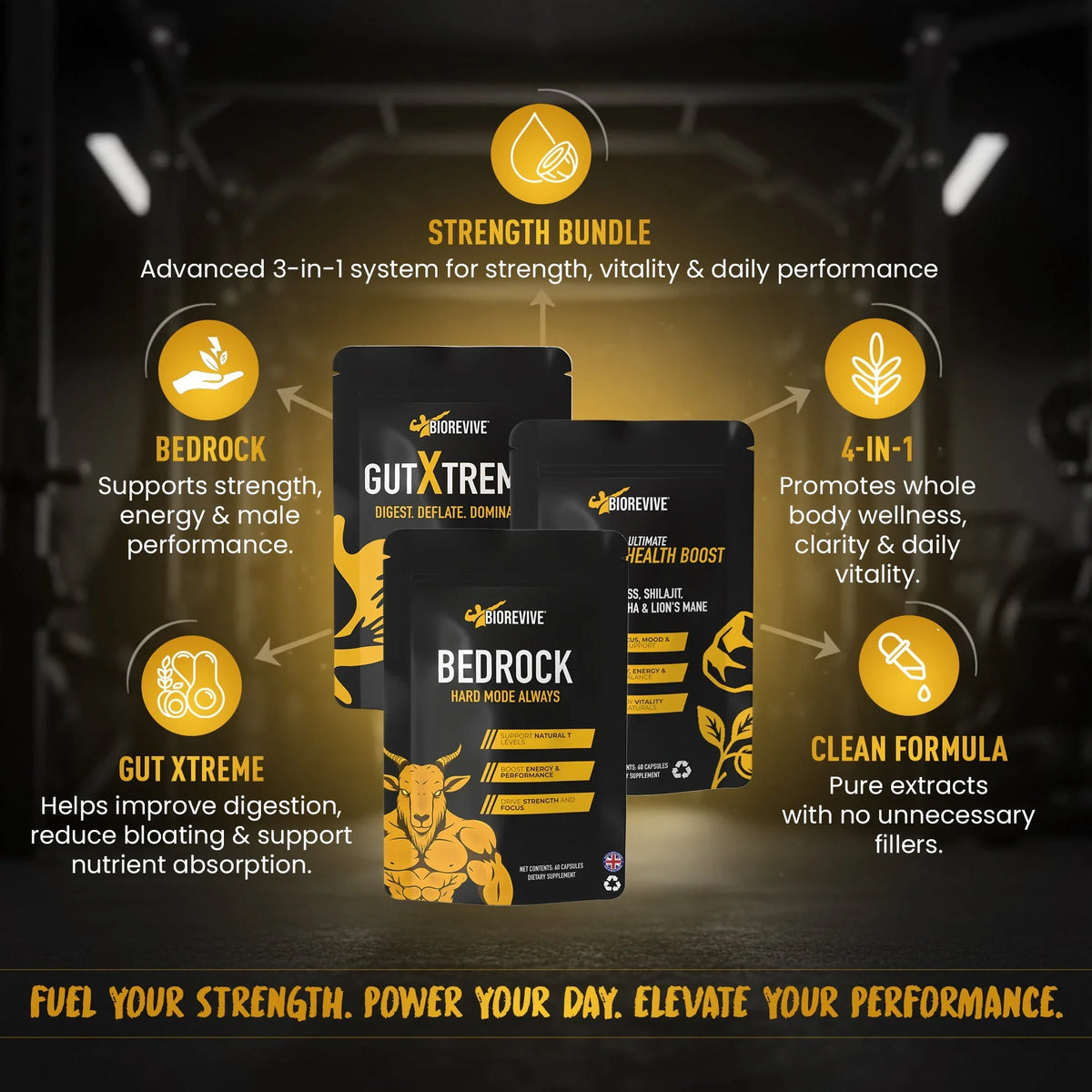 Bio Strength Powder Strength Bundle – BioRevive