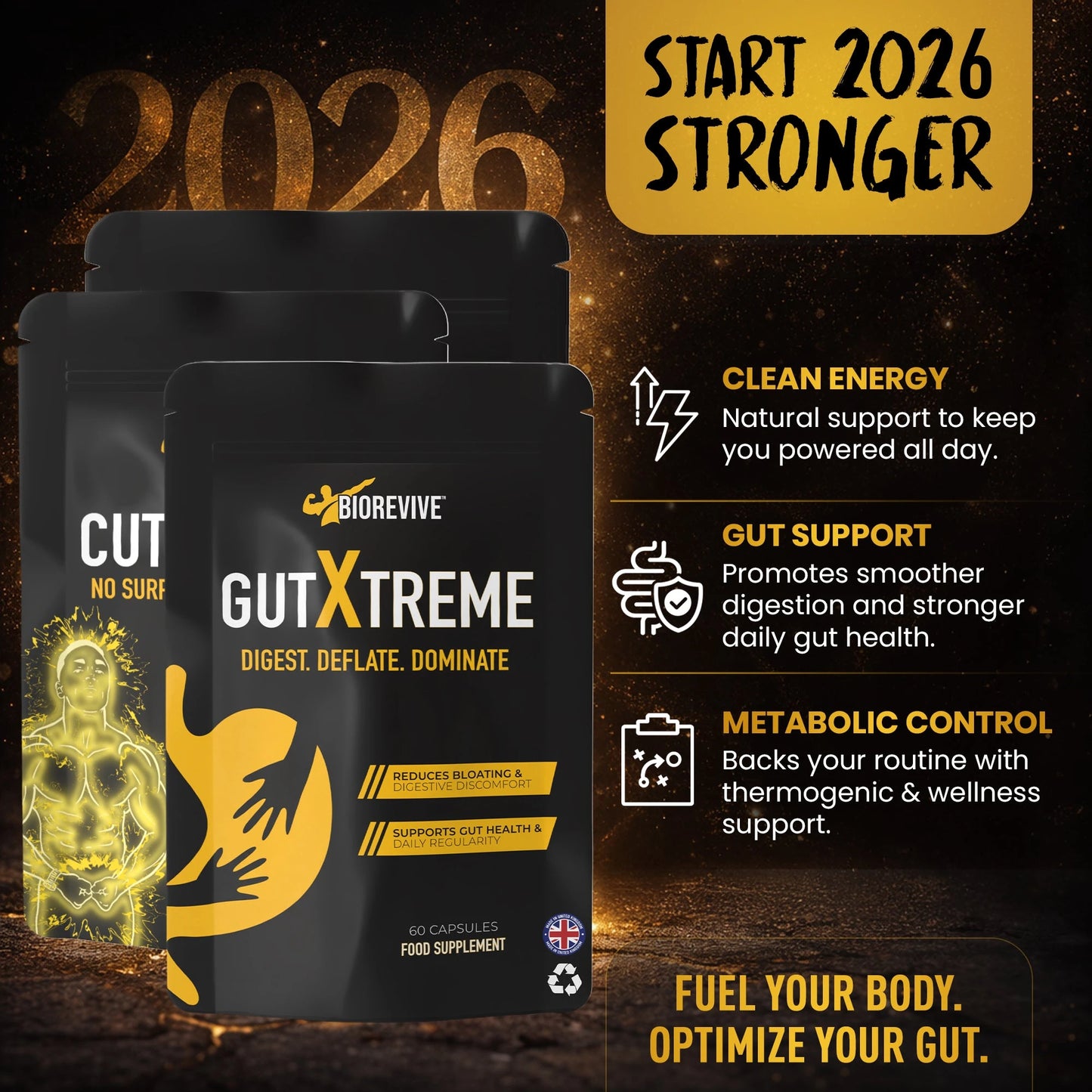 Everyday Energy Bundle