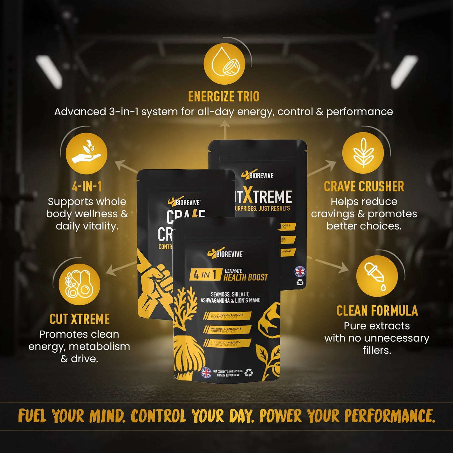 Energize Trio Bundle