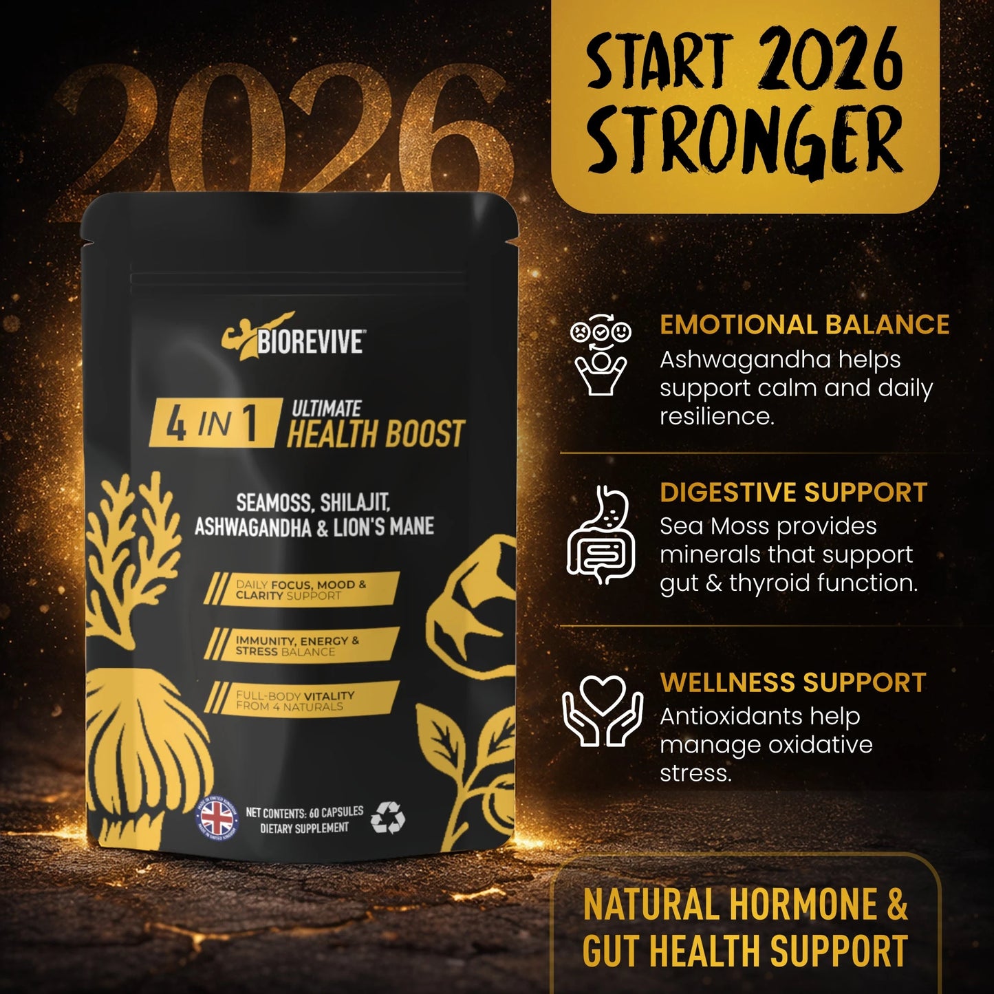 4-IN-1 - Seamoss, Shilajit, Lions Mane, Ashwagandha