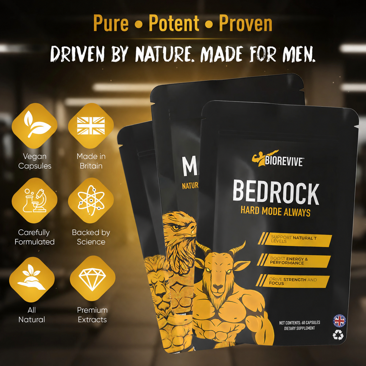 The Alpha Bundle