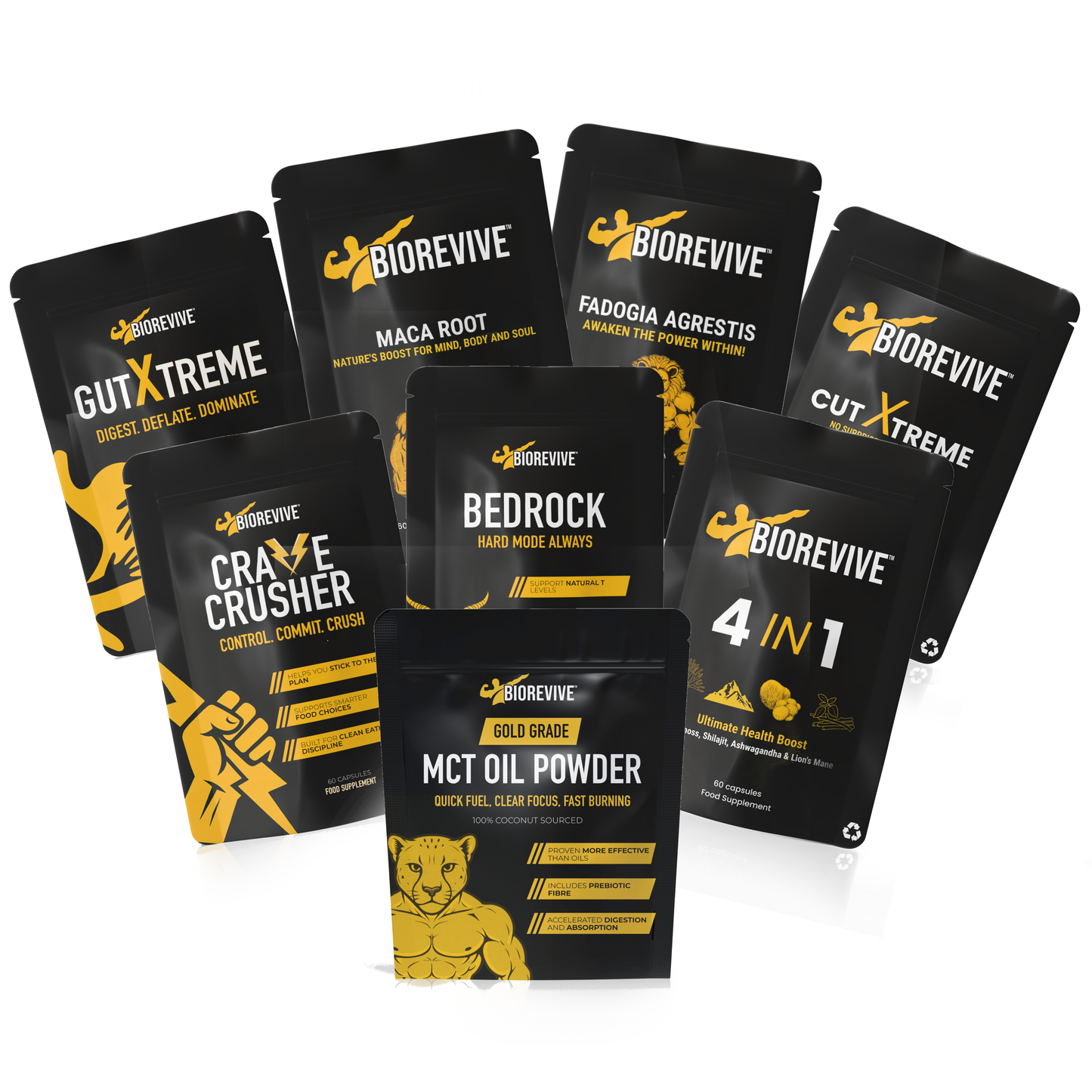 FULL BUNDLE