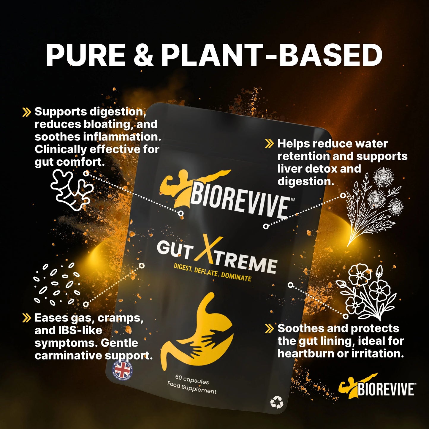 Gut Extreme