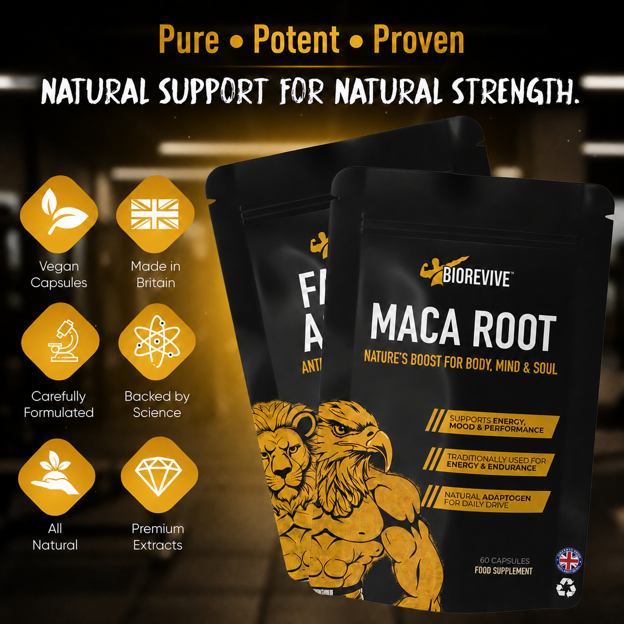Natty Stack Bundle