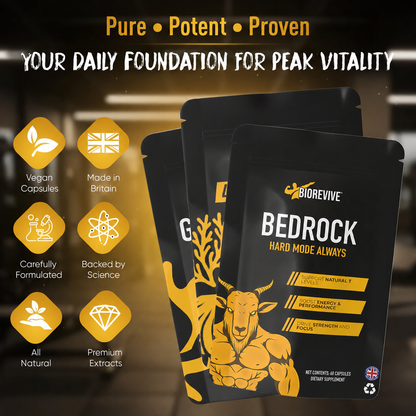 Strength Bundle