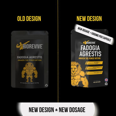 The Alpha Bundle