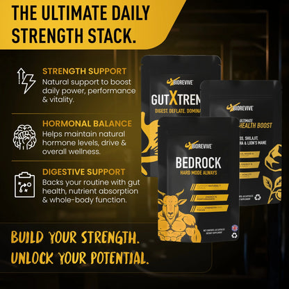 Strength Bundle