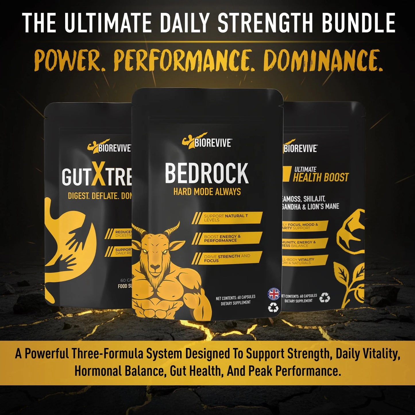 Strength Bundle